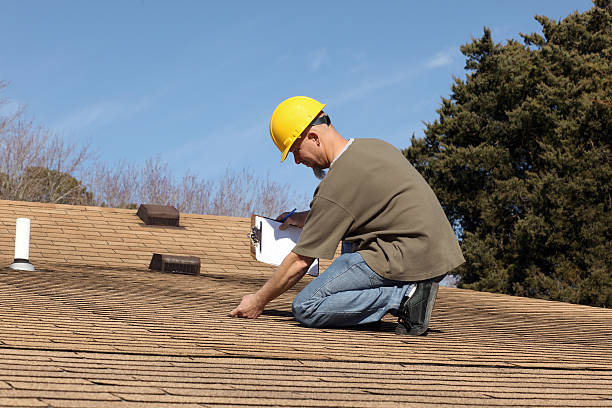Best Chimney Flashing Repair  in Hamburg, IA
